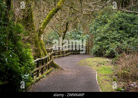 Pfad auf dem Naturlehrpfad im calderglen Country Park Stockfoto