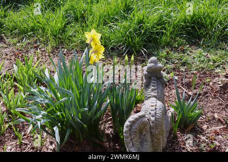 Gelbe Narzissen, Gras und Gartendekor in der Frühjahrssonne Stockfoto