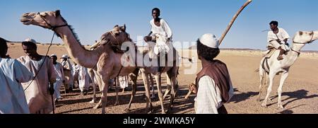 Baggara auf der Reise in den Süden des Sudan; Sudan Stockfoto