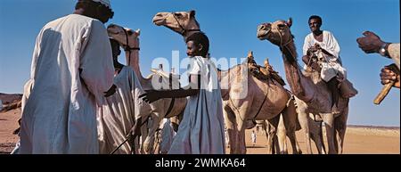 Baggara auf der Reise in den Süden des Sudan; Sudan Stockfoto