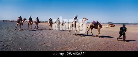 Baggara auf der Reise in den Süden des Sudan; Sudan Stockfoto