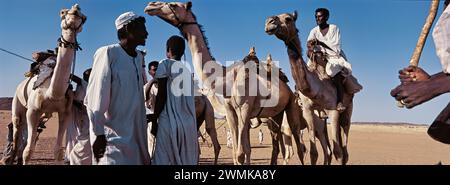 Baggara auf der Reise in den Süden des Sudan; Sudan Stockfoto