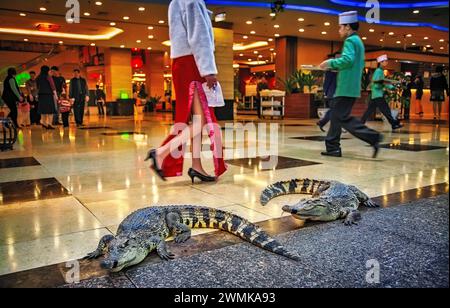Lebende Krokodile mit verschlossenem Mund werden von Käufern vor dem Yumin Restaurant in einem Einkaufszentrum in Guangzhou ignoriert. Die riesigen, lebenden Rifffische sind... Stockfoto