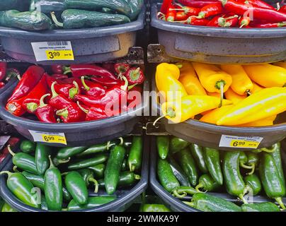 Verschiedene bunte heiße Chili-Paprika auf einem traditionellen Gemüsemarkt in Houston, Texas. Jalapeno, süßer Bananenpfeffer, Poblano und Red Fresno. Stockfoto