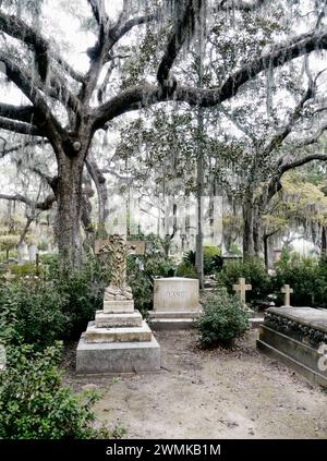 Spanisches Moos von den Gliedmaßen lebender Eichen umrahmt eine Friedhofsszene: Savannah, Georgia, Vereinigte Staaten von Amerika Stockfoto