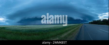 Panorama von superzellulären Gewitterwolken über Ackerland und einer Landstraße; Grande Prairie, Alberta, Kanada Stockfoto