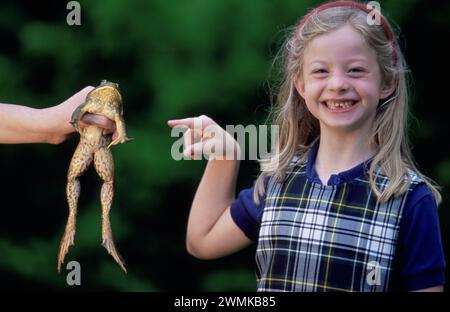 Das junge Mädchen zeigt auf einen Frosch, der von jemandem außerhalb der Kamera gehalten wird; Lincoln, Nebraska, Vereinigte Staaten von Amerika Stockfoto