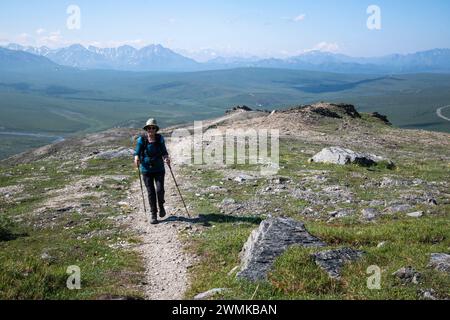 Reife Wanderer auf dem Savage Alpine Trail mit Wanderstöcken mit Blick auf den Berg Denali im Hintergrund Stockfoto