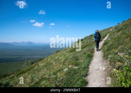 Blick von hinten auf eine reife Wanderer auf dem Savage Alpine Trail mit Blick auf den Berg Denali an einem klaren Tag im Denali National Park Stockfoto