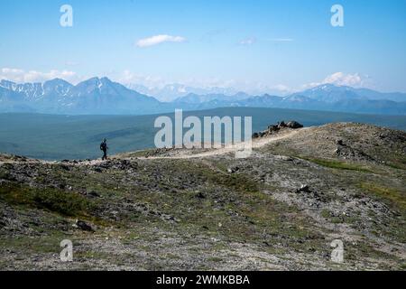 Blick von hinten auf eine Naturfrau auf dem Savage Alpine Trail mit Wanderstöcken mit Blick auf den Berg Denali im Hintergrund Stockfoto