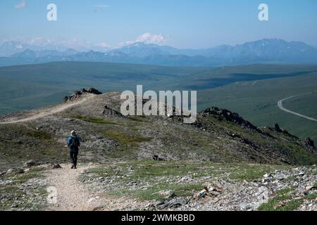 Blick von hinten auf eine Naturfrau auf dem Savage Alpine Trail mit Wanderstöcken mit Blick auf den Berg Denali im Hintergrund Stockfoto