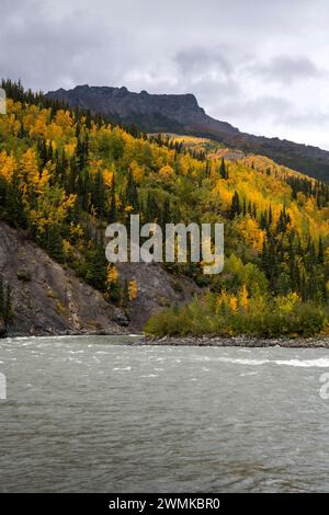 Leuchtende Herbstfarben auf der Bergseite über dem Nenana River auf dem Horseshoe Lake Trail im Denali National Park, Alaska, USA Stockfoto