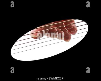 Eine seltene Klanglochperspektive von Fingern auf Gitarrensaiten, Nahaufnahme; Studio-Aufnahme Stockfoto