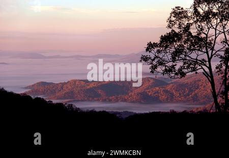 Blick in die Dämmerung auf die von Bäumen bedeckten Berge und silbrigen Grate, die nach Süden in Richtung Hendersonville in den Blue Ridge Mountains blicken Stockfoto