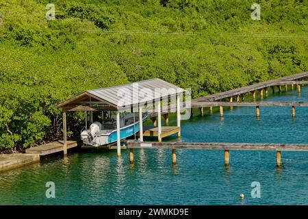 ROATAN, HONDURAS - 23. Januar 2024: Der Hafen von Roatan ist einer von zwei Kreuzfahrthäfen in Roatan. Schätzungsweise 580,000 Besuche Roatan über diesen Hafen jedes Jahr Stockfoto