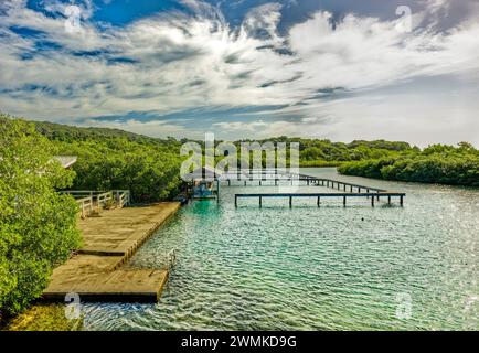 ROATAN, HONDURAS - 23. Januar 2024: Der Hafen von Roatan ist einer von zwei Kreuzfahrthäfen in Roatan. Schätzungsweise 580,000 Besuche Roatan über diesen Hafen jedes Jahr Stockfoto