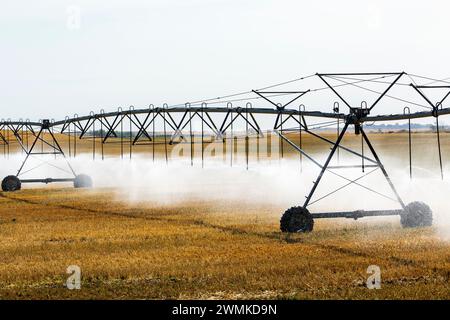 Große Bewässerungsanlagen auf Rädern, die ein Getreidefeld bewässern, östlich von Calgary, Alberta, Kanada Stockfoto
