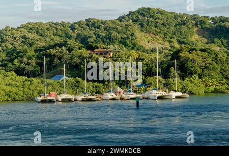 ROATAN, HONDURAS - 23. Januar 2024: Der Hafen von Roatan ist einer von zwei Kreuzfahrthäfen in Roatan. Schätzungsweise 580,000 Besuche Roatan über diesen Hafen jedes Jahr Stockfoto