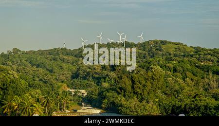 ROATAN, HONDURAS - 23. Januar 2024: Der Hafen von Roatan ist einer von zwei Kreuzfahrthäfen in Roatan. Schätzungsweise 580,000 Besuche Roatan über diesen Hafen jedes Jahr Stockfoto