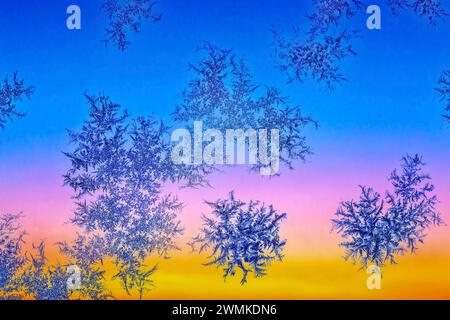 Extreme Nahaufnahme kalter Frostmuster an einem Fenster mit strahlendem warmem Licht bei Sonnenaufgang im Hintergrund; Calgary, Alberta, Kanada Stockfoto