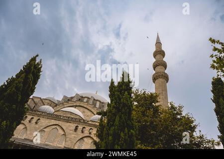 Süleymaniye-Moschee; Istanbul, Türkei Stockfoto