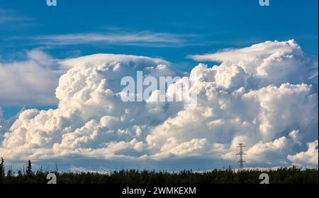 Große Sturmwolken, die sich an einem warmen Sommerabend hinter großen Stromübertragungsleitungen am Horizont bilden; Edmonton, Alberta, Kanada Stockfoto