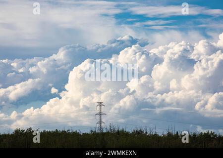 Große Sturmwolken, die sich an einem warmen Sommerabend hinter großen Stromübertragungsleitungen am Horizont bilden; Edmonton, Alberta, Kanada Stockfoto