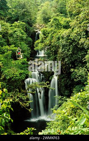 Der Biologe nutzt eine Seilbahn, um die Baumkronen in Costa Rica zu vermessen Stockfoto