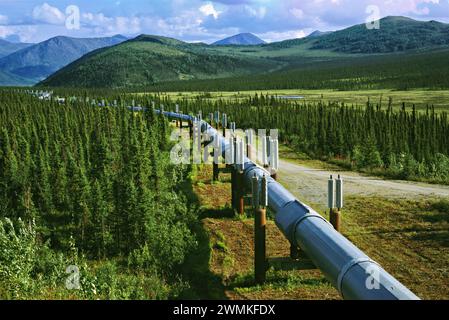 Ausblicke entlang des Dalton Highway zeigen das Trans-Alaska Pipeline System (TAPPS), ein Öltransportsystem, das Alaska umspannt und die Trans... Stockfoto