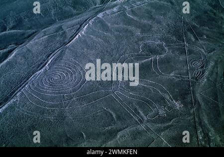 Geheimnisvolle Nazca-Linien bilden einen Affen in der Wüste Südperus. Andere Tiere und geometrische Formen sind am besten aus der Luft zu sehen. Anthropologen... Stockfoto