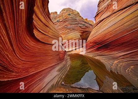 Die spektakuläre Bildung von leuchtenden Farben in Wirbeln aus zerbrechlichem Sandstein ist bekannt als The Wave und befindet sich im Coyote Buttes Abschnitt von Vermilio... Stockfoto