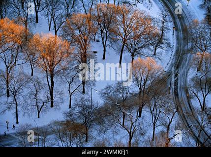 Die Morgensonne küsst die eisigen Gipfel der Winterbäume im schneebedeckten New Yorker Central Park. Eine erhöhte Ansicht zeigt einen Geher, der einem gekrümmten Pfad ... folgt Stockfoto