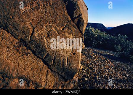 Petroglyphen eines gehörnten Tieres, das auf eine Felswände gehauen wurde. Bedeutende spätprähistorische archäologische Stätten in der Wüste Südwesten sind erhalten... Stockfoto