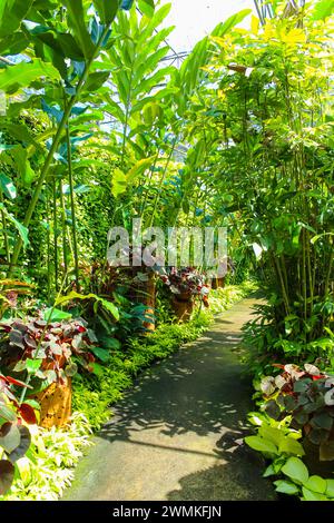 Der tropische Botanische Garten von Nongnooch ist ein sehr beliebtes Touristenziel Stockfoto