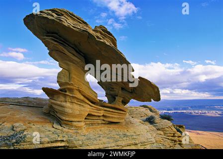 Zarte Felsformationen, die durch Winderosion geformt wurden, überblicken den Grand Canyon. Die Sandsteinschicht Navajo bildete sich vor 190 Millionen Jahren im frühen Jura... Stockfoto