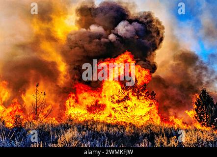 Die Flammen springen hoch, während sich ein durch Blitze verursachtes Waldfeuer entlang einer Bergrücke in die Nacht ausbreitet; Malad River, Idaho, Vereinigte Staaten von Amerika Stockfoto