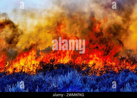 Die Flammen springen hoch, während sich ein durch Blitze verursachtes Waldfeuer entlang einer Bergrücke in die Nacht ausbreitet; Malad River, Idaho, Vereinigte Staaten von Amerika Stockfoto