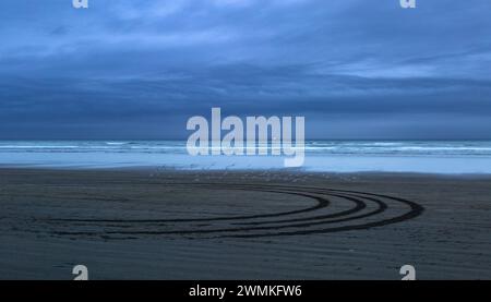 Eine Schar von Seevögeln, die tief an der Sandküste des Pazifischen Ozeans mit einem dunkelgrauen, bewölkten Himmel fliegen Stockfoto