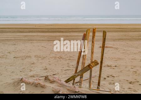 Sandstrand mit Holzpfosten und grauem Himmel in Long Beach; Long Beach, Washington, Vereinigte Staaten von Amerika Stockfoto