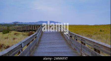 Blick auf den Holzsteg durch das Feuchtgebiet des Strandgrases, der zum Strand führt; Longbeach, Washington, Vereinigte Staaten von Amerika Stockfoto