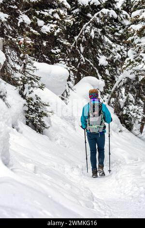 Blick von hinten auf eine weibliche Wanderung mit Wanderstöcken auf einem schneebedeckten Pfad in einem Wald mit schneebedeckten immergrünen Bäumen Stockfoto