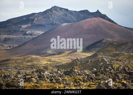 Berserkjahraun Lavafeld auf der Halbinsel Snaefellsnes im Westen Islands; Island Stockfoto