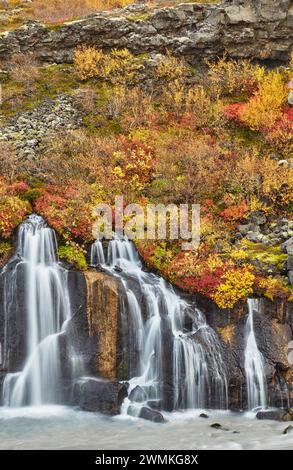 Hraunfossar Falls, nahe Reykholt, im Westen Islands; Island Stockfoto