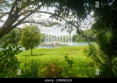 Szene ein Feld mit Gemüse und einige Pflanzen auch Reis. Sehr breit, so weit das Auge die Pflanzen sehen kann. Befindet sich in Wonosobo, Indonesien. Kein Peop Stockfoto