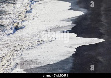 Surfwasser an einem schwarzen Sandstrand im Süden Islands, auf Dyrholaey Island bei Vik; Dyrholaey Island, Island Stockfoto