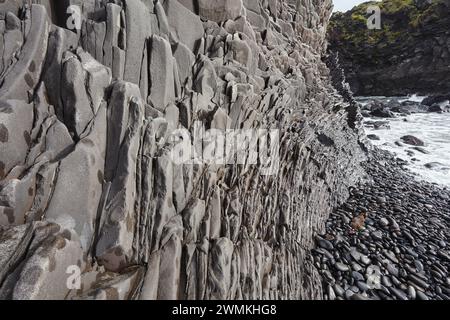 Lavasteilküste entlang der Küste bei Hellnar, Snaefellsnes in Westisland; Hellnar, Island Stockfoto