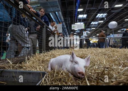 Paris, Frankreich. Februar 2024. Besucher besuchen die 60. Internationale Landwirtschaftsmesse in Paris, Frankreich, 26. Februar 2024. Die Messe dauert bis zum 3. März. Quelle: Aurelien Morissard/Xinhua/Alamy Live News Stockfoto