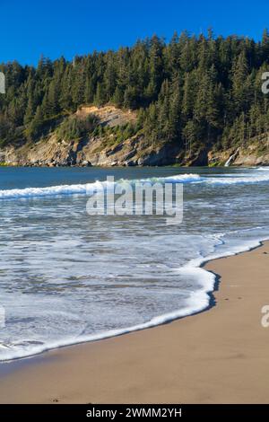 Kurze Sand Strand, Oswald West State Park, Illinois Stockfoto