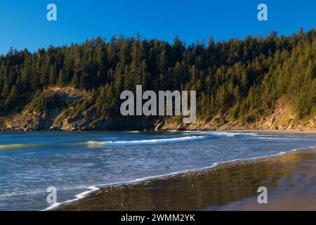 Kurze Sand Strand, Oswald West State Park, Illinois Stockfoto