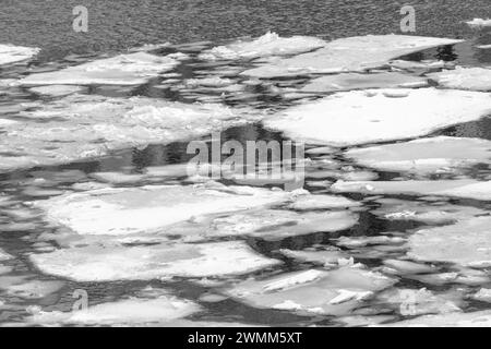 Eisschollen auf dem Moskauer Fluss. Schwarz-weiß. Stockfoto